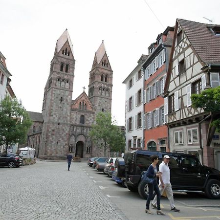 Gite Le Caveau Selestat - 30Min Europapark المظهر الخارجي الصورة